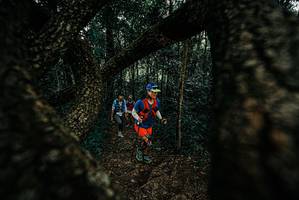 BIB: 
                            <button type="button" onclick="openModal(25676522)" class="btn btn-primary btn-sm float-right btn-popup" data-toggle="modal" data-target=".modal-high-quality">
                        <i class="fas fa-shopping-cart"></i> Add to Cart
                    </button>
                                            <button type="button" onclick="isThisMe(25676522, true)" class="btn btn-success btn-sm float-right btn-popup btn-isme hidden" data-toggle="tooltip" data-placement="bottom" title="นี่คือรูปของคุณใช่ไหม คลิกที่นี่เพื่อเอาเข้าอัลบั้ม">
                        <i class="fas fa-plus"></i> Add to album
                    </button>
                    <button type="button" onclick="isThisMe(25676522, false)" class="btn btn-warning btn-sm float-right btn-popup btn-isnotme hidden">
                        <i class="fas fa-ban"></i> Remove from album
                    </button>